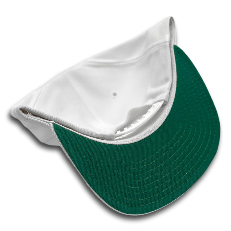 Miami Dolphins Vintage Snapback
