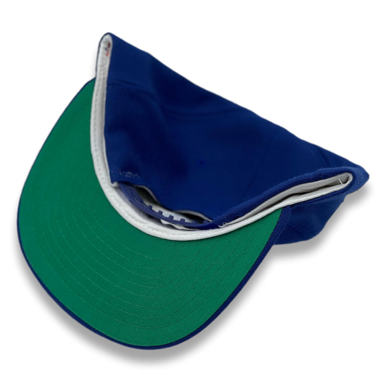 Toronto Blue Jays Vintage Snapback